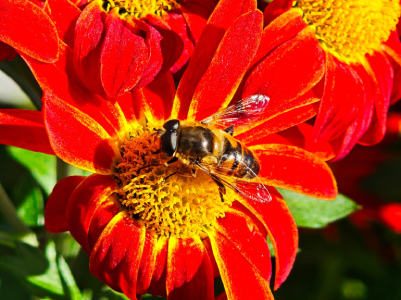 Poco F8 Ultra купить в Уфе