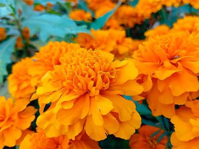 Redmi 15C купить в уфе