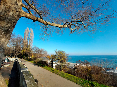 Redmi Note 15 4G купить в Уфе